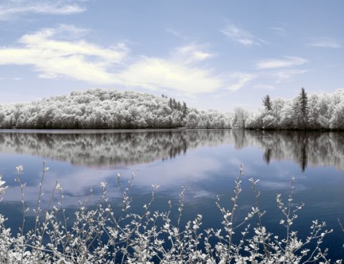 Professional Infrared and Full-Spectrum Camera Conversions in Quebec, Canada